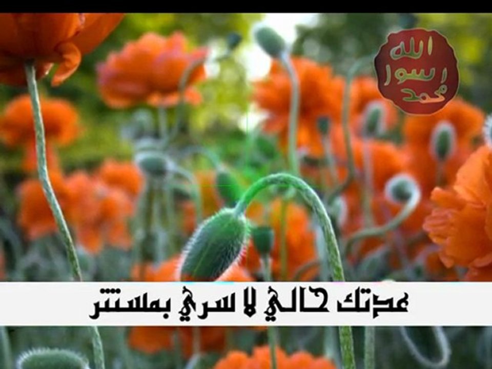 BOURDA