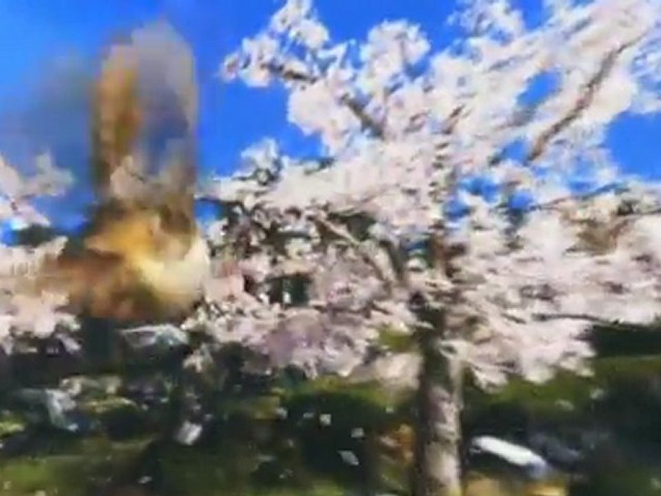 Wii U :  E3 2011 Démo Technique