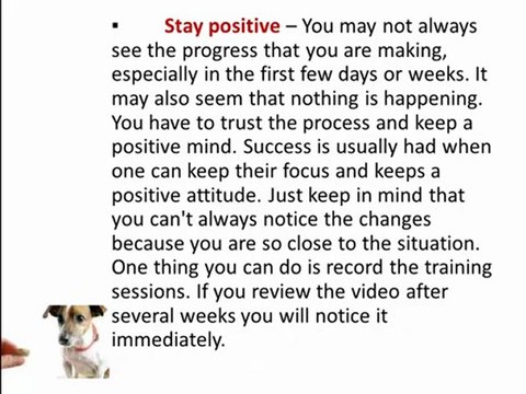 Effective Tips for Training a Dog