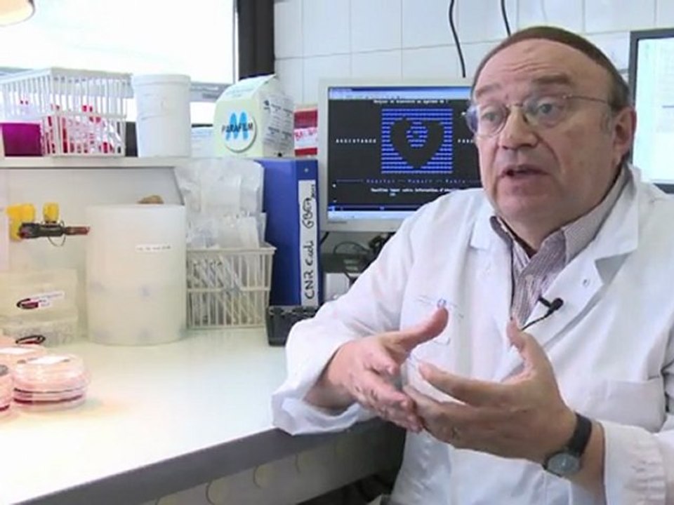 Entenda a bactéria E.Coli