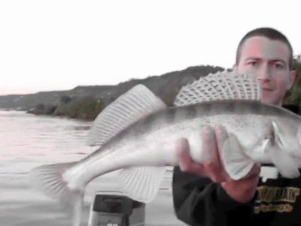 Pêche sportive en Seine (secteur maritime) II