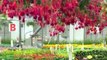 2011 Nanticoke Gardens 30 Second Spot Generic Commercial
