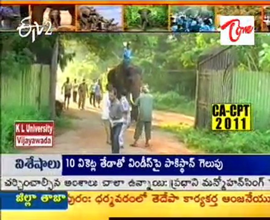 Etv2 idi Sangathi programme -  Elephants