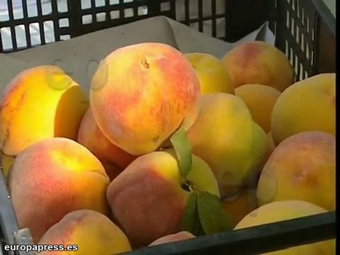 Agricultores piden nueva Ley de Comercio