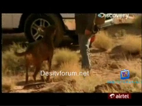 I Shouldn't Be Alive - 8th june 2011 Watch Video Online p2