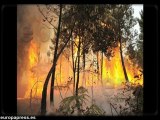 Un fotógrafo documenta los incendios estivales