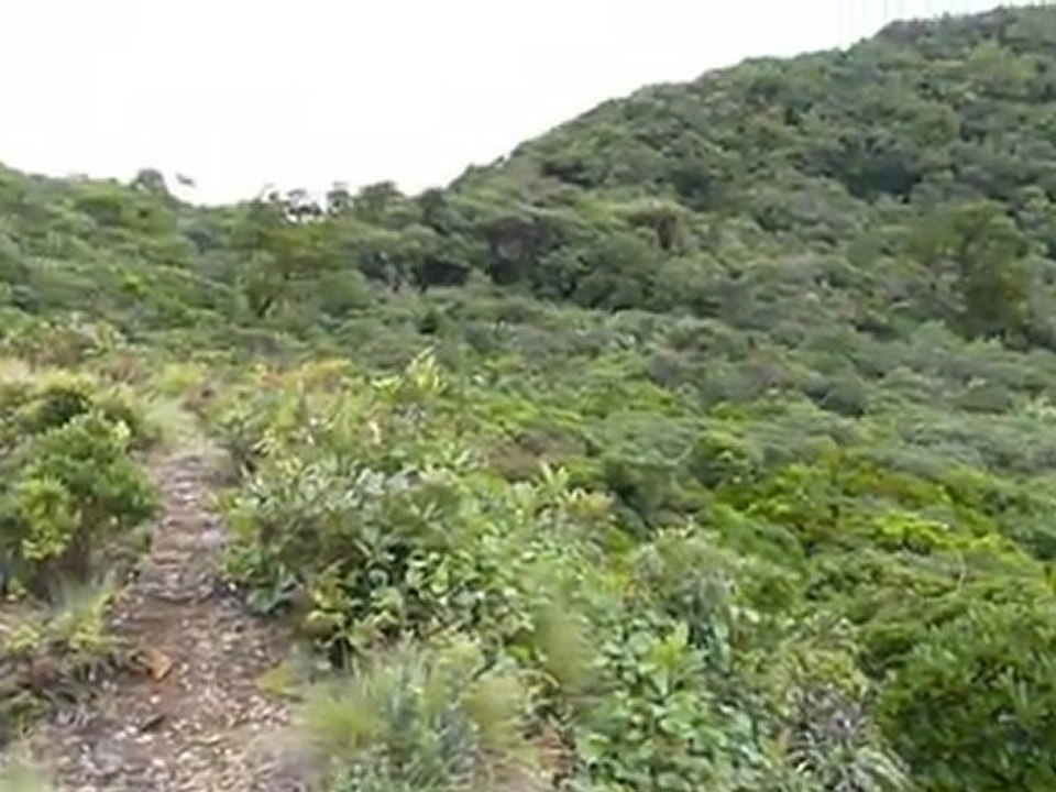 P1010588