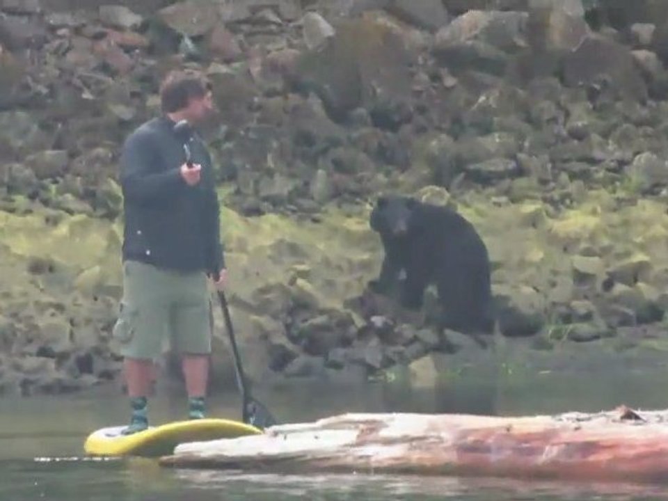 WAPALA Mag N°52 : Défi Wind 2011, windsurf avec les frères Denel, road trip surf avec Naish et Kalama