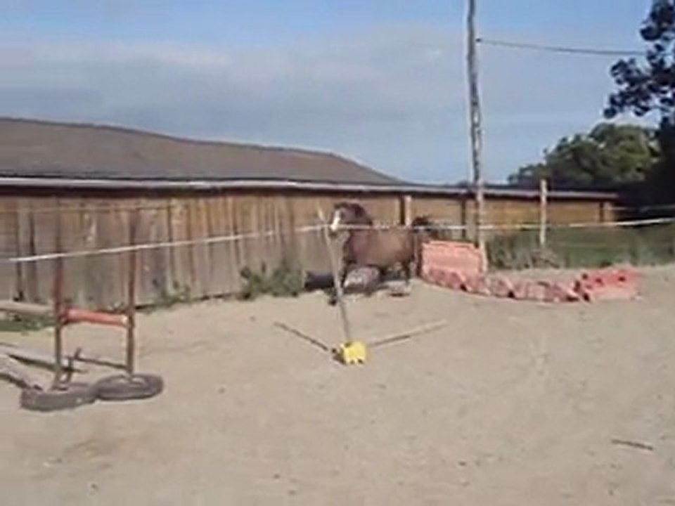 Ecuries du Nevez Ulysse 3