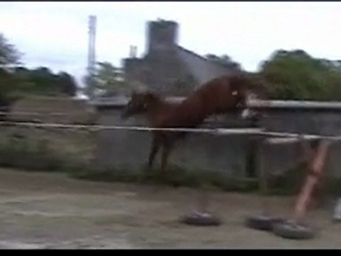 Ecuries du Nevez Sir