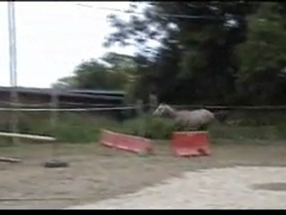 Ecuries du Nevez Untel