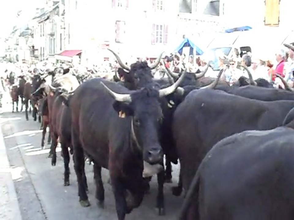 20ème fête de l'estive à Allanche (1ère partie)