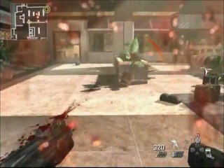 TERMINAL veteran Solo