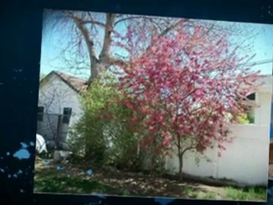 www.Homes-For-Sale-Bennett-area.info | Rural | CO 80102 | Arapahoe