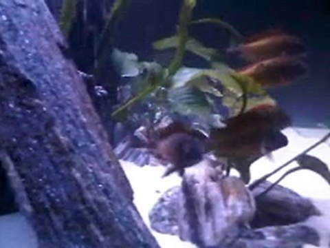 VID 00045-20110516-2342