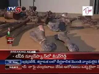 Biggest Dinosaur Remains found in Tamilnadu