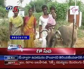 Today 11AM News Headlines - 19th November 2009
