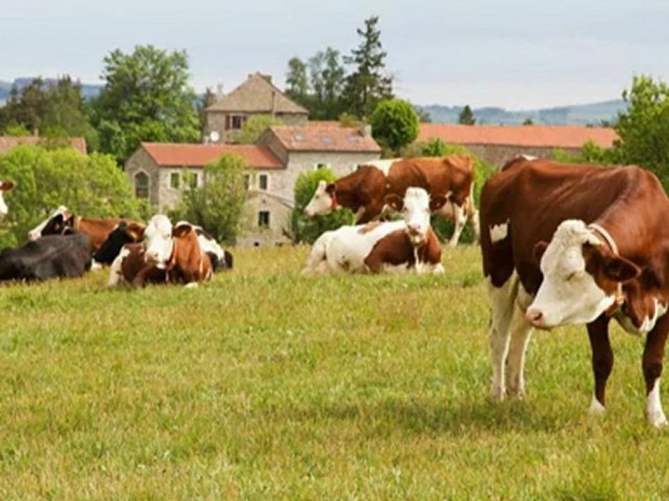 Chambres d'hôtes - La Grange de Pradelou - Fontanes - Lozère - Margeride - Naussac