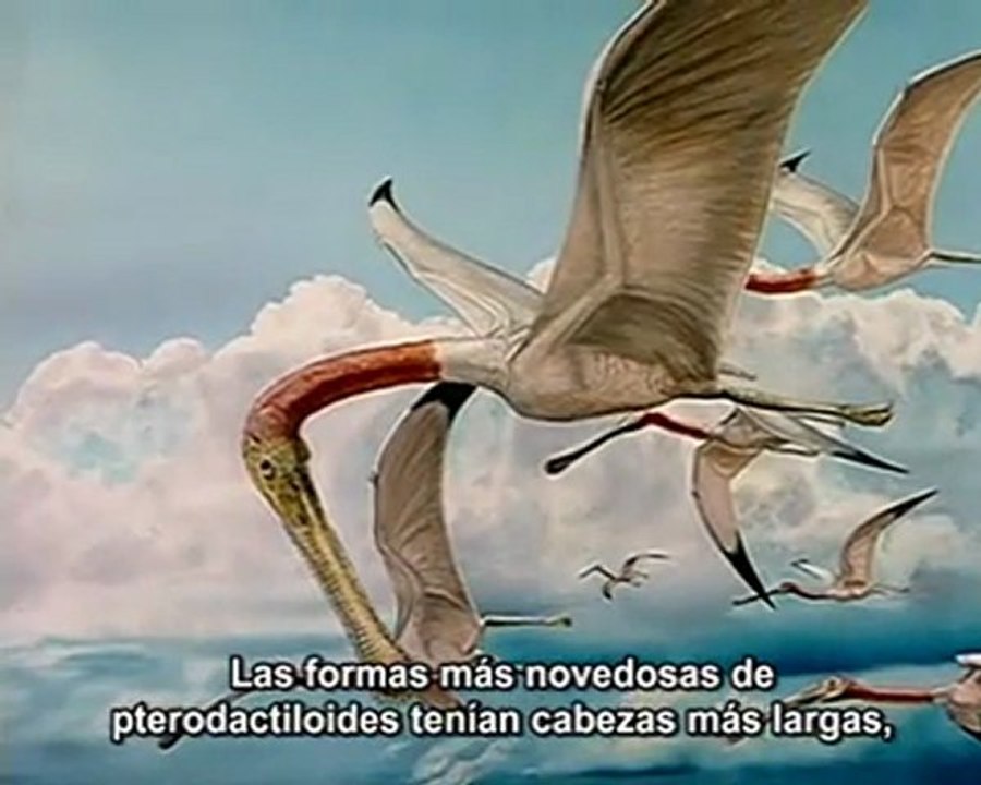 .El Vuelo de los Pterosaurios 1/2