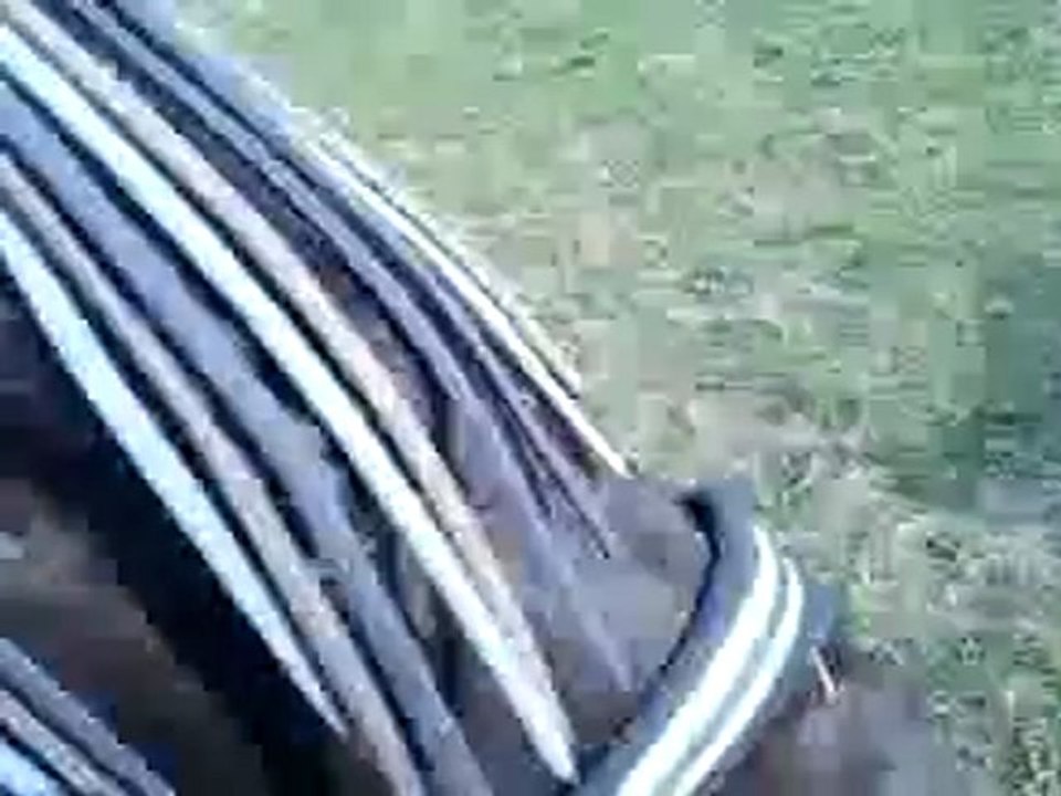 Vidéo-0044