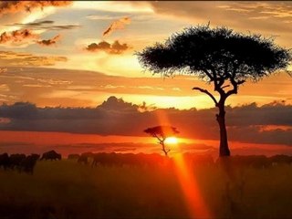 Relaxing music / Japan music