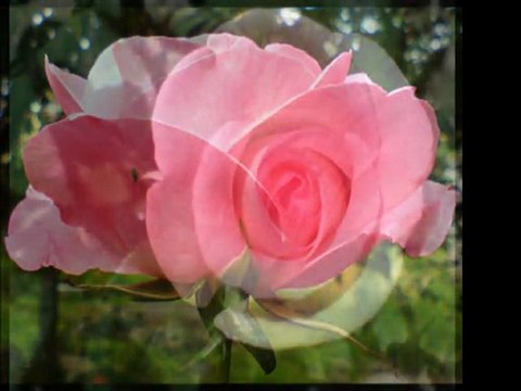 Ayşe Tunalı-Çok Geceler Bekledim