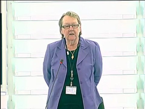 Marit Paulsen on a new Multiannual Financial Framework (MFF)