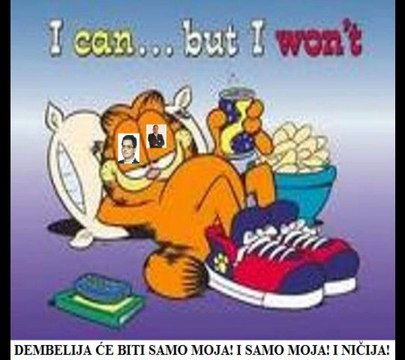 KORUPCIJA NOVI BEOGRAD - DRAGAN VUJEVIC CV