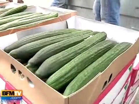 France : destruction massive de concombres