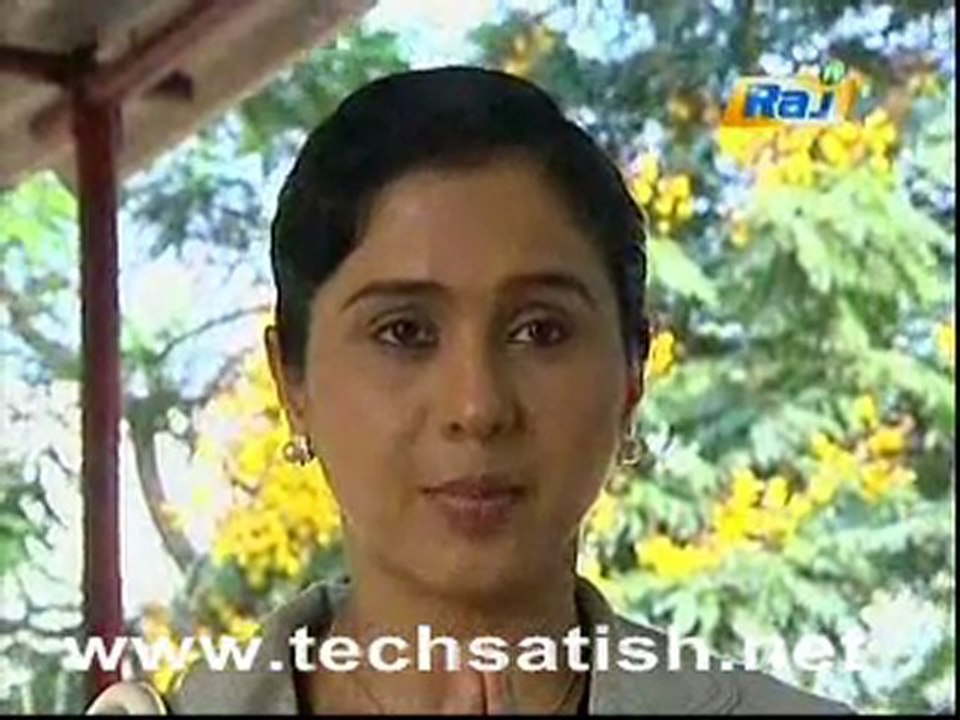 Kodimullai