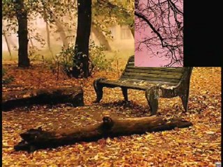 Hasret rüzgarları_Müslüm  Gürses