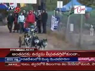 Dogs Running race in Lidhevania, at very cold weather, Crazy