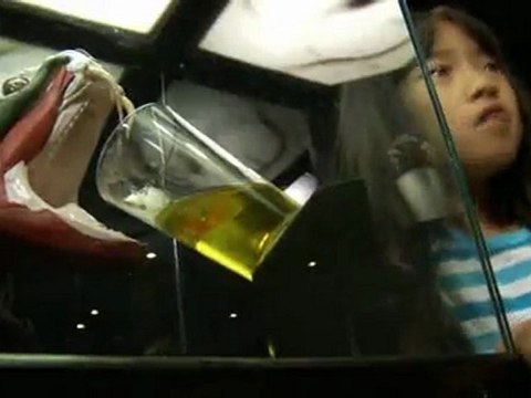 World’s largest traveling reptile exhibition visits Ontario