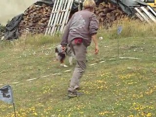 swanny entrainement cavage