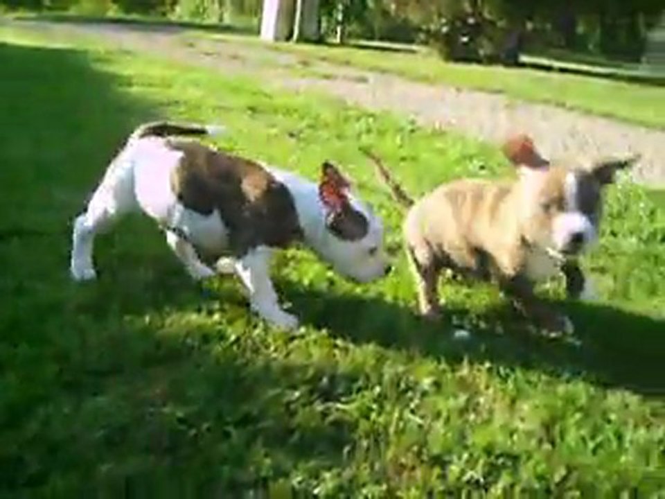 VIDEO DU 08.06.2011 DES 2 FRERES