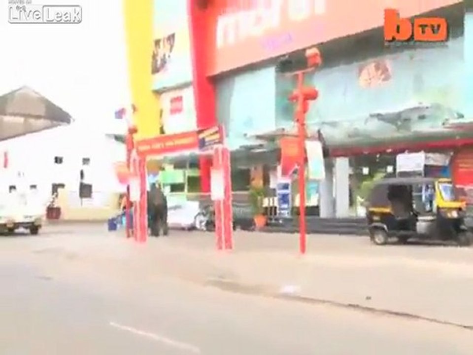 Indische Elefanten geht auf eine gewalttätige Randale