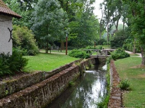 Test Nikon D 5100 - 2