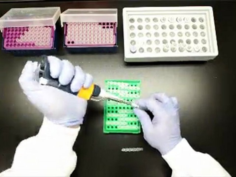 009831_6m20s_30fps 1080p HD