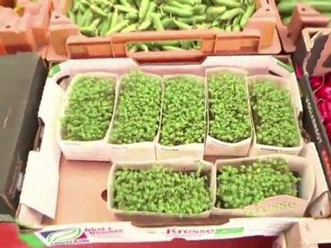 La bacteria E.coli genera dificultades en restaurantes alemanes