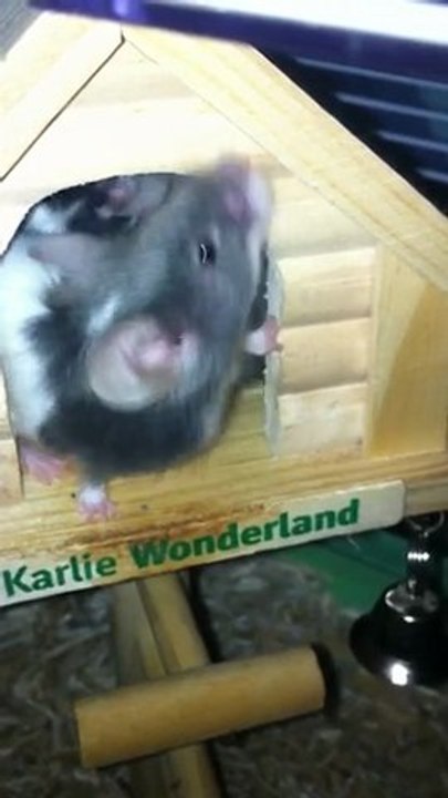 Thétis Et Voie Lactée