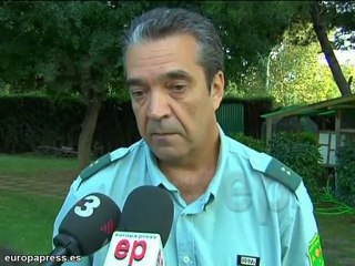 Encuentran un pitón en una peluquería