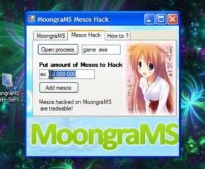 MoongraMS Hack - Private Server Mesos Hack 2011 - Free Download