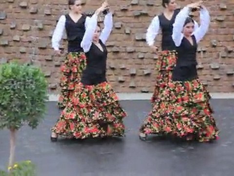 Conservatorio Profesional de Danza de Almería