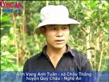 Nghệ An: Phát triển kinh tế rừng bền vững