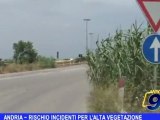Andria | Rischio incidenti per alta vegetazione