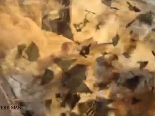 Patchy Middleton Kickstarter Promo