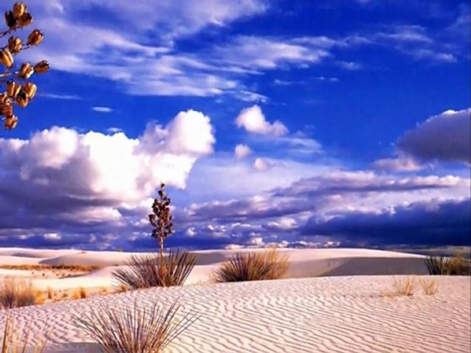 İKİ SATIR. ÇELİK.arada bir yazarmısın iki satır  bile olsa yaz ... ben yazmazsam ne olur sen yaz...