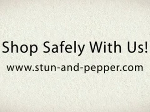 Best stun guns store online for diversion safes (USA)