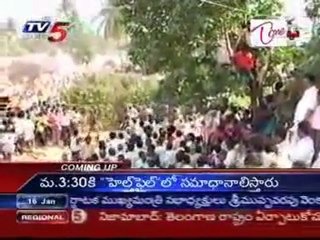 Bulls Festival Jallikattu in Chittor District Brahmana Palli