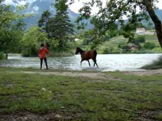 20110608 -  Reg au lac St André